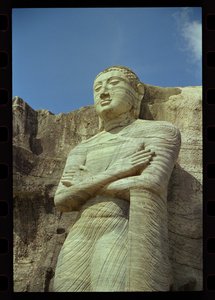Stående Buddha, Gal Vihara (granitt)